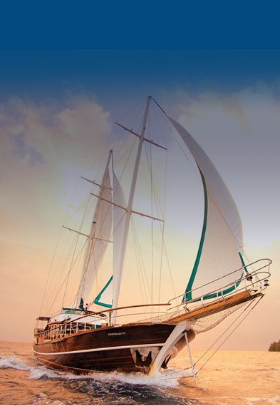 201901151311245c3d6b7c0210b