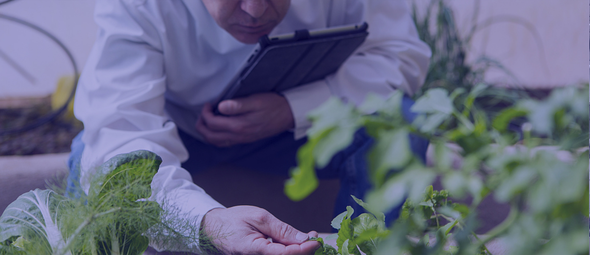 201903141330545c89e70e27d8b