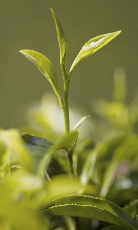 201903211216005c931000c229e