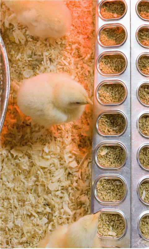 201903211502015c9336e96f5d4